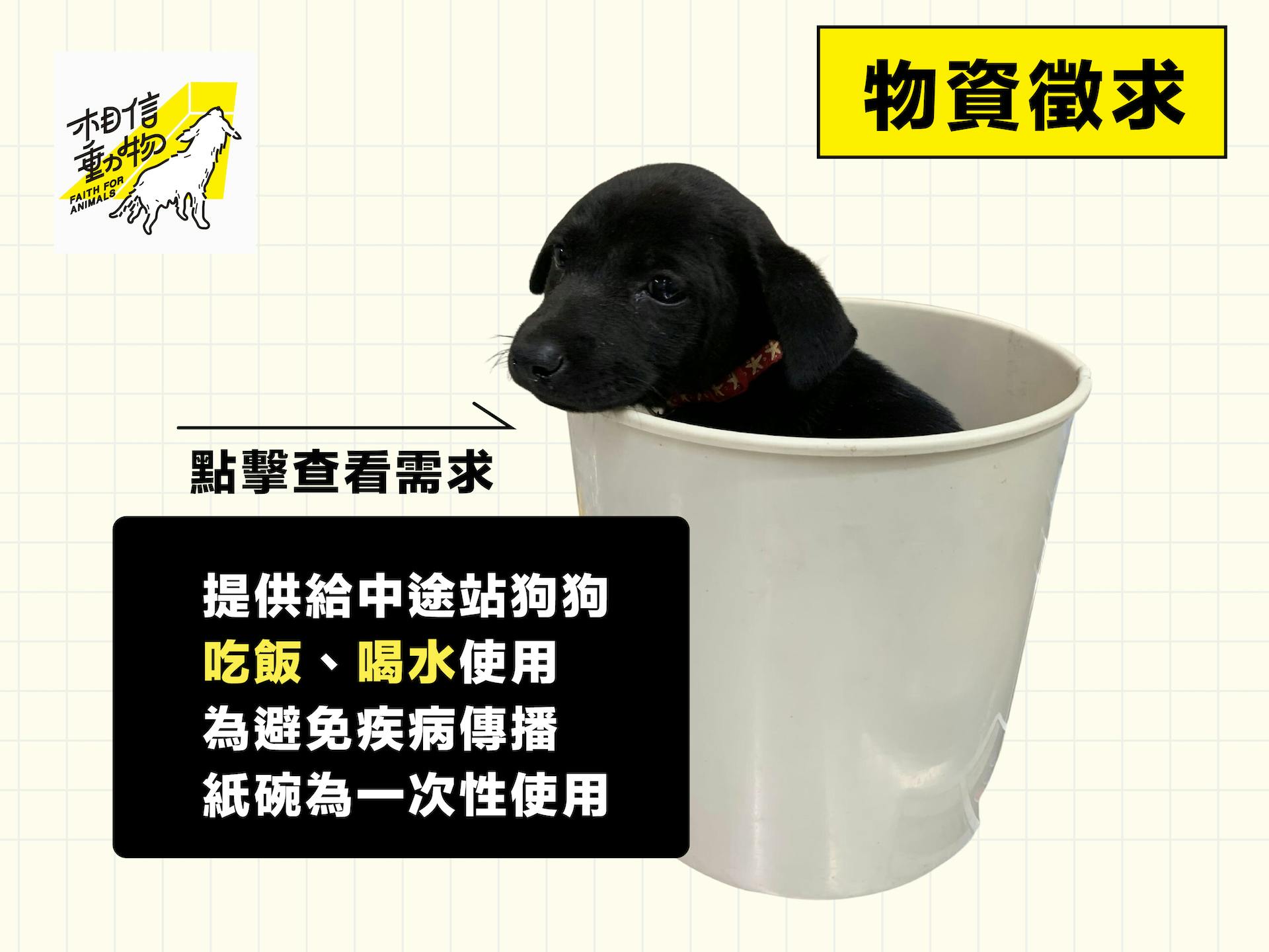 【物資徵求】狗狗吃飯喝水的乾淨紙碗